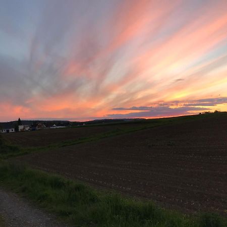 Ferienwohnung Am Weiltalradweg Weinbach Экстерьер фото