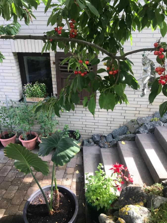 Ferienwohnung Am Weiltalradweg Weinbach Экстерьер фото