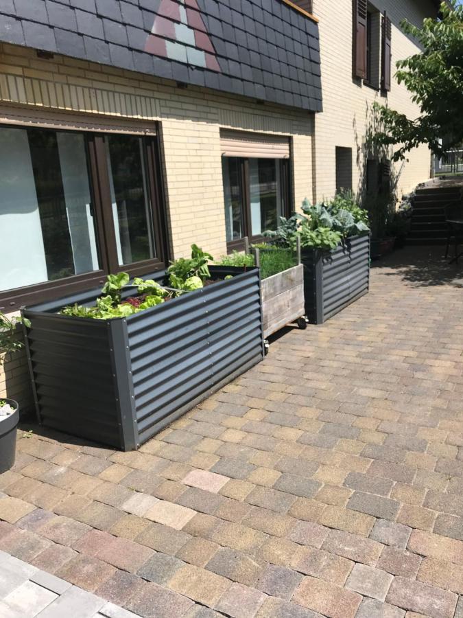 Ferienwohnung Am Weiltalradweg Weinbach Экстерьер фото